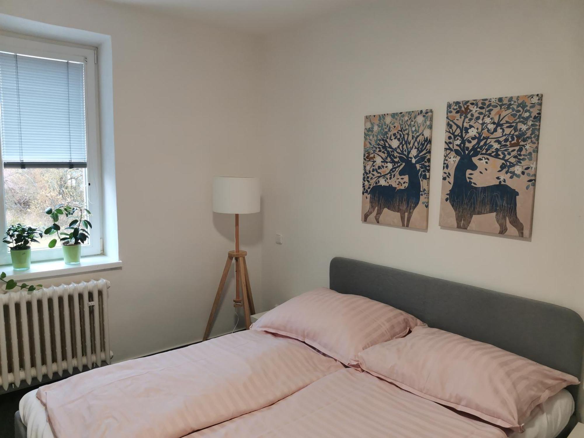 Apartmany Pekna 10 Nová Pec 외부 사진